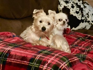 IMG_3089[1].JPG