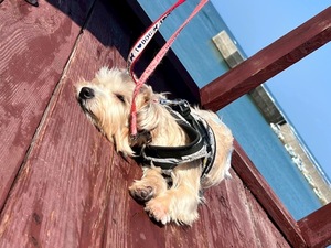 IMG_3317[1].JPG